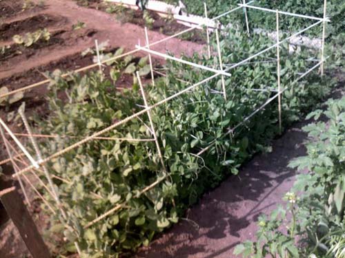 Композитные прутки на даче композитная арматура успешно применяется на даче